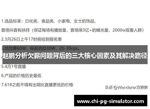 赵鹏分析欠薪问题背后的三大核心因素及其解决路径