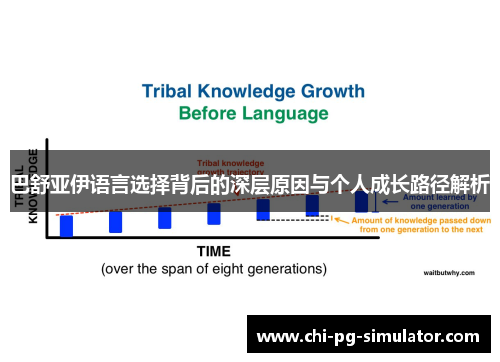 巴舒亚伊语言选择背后的深层原因与个人成长路径解析