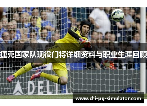 捷克国家队现役门将详细资料与职业生涯回顾 捷克国家队现役门将详细资料与职业生涯回顾